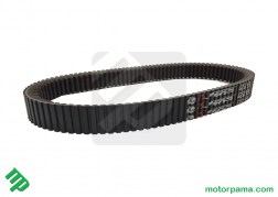 Cinghia Gates 42G3935 (1)